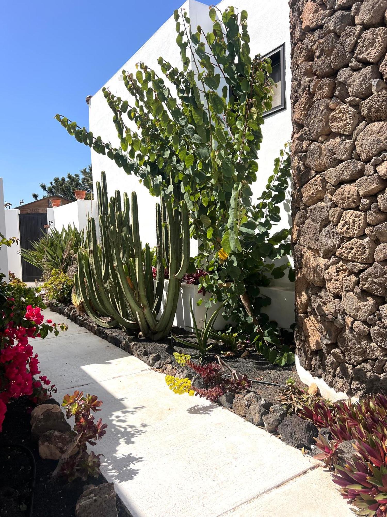 Вилла Oasis En Lanzarote Коста-Тегисе Экстерьер фото