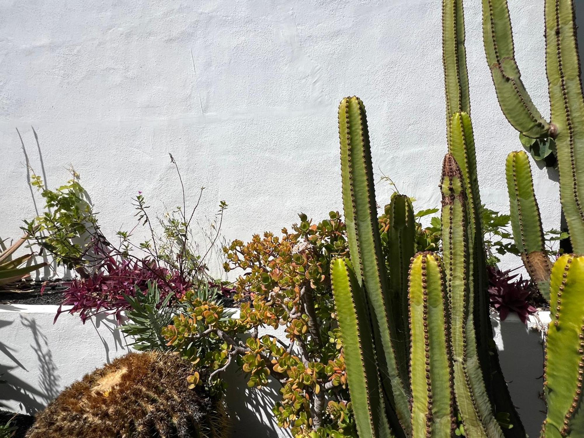 Вилла Oasis En Lanzarote Коста-Тегисе Экстерьер фото