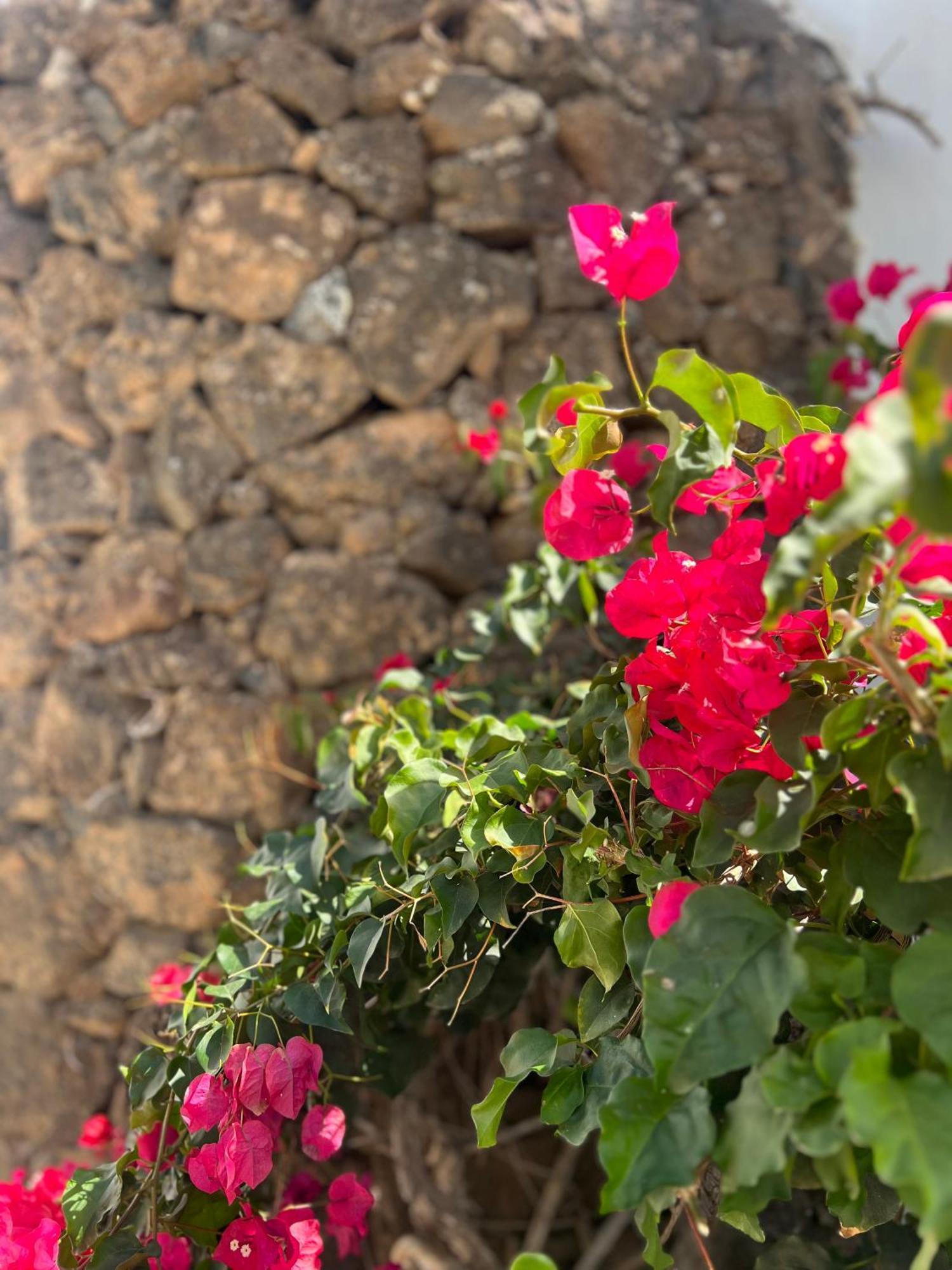 Вилла Oasis En Lanzarote Коста-Тегисе Экстерьер фото
